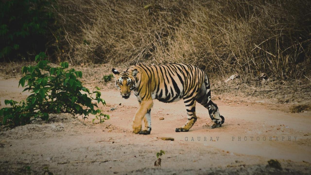 Kabini Lake View Resort Begūr Екстериор снимка